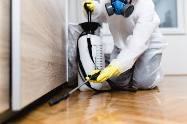 Professional Pest Control in Gordon Heights, NY