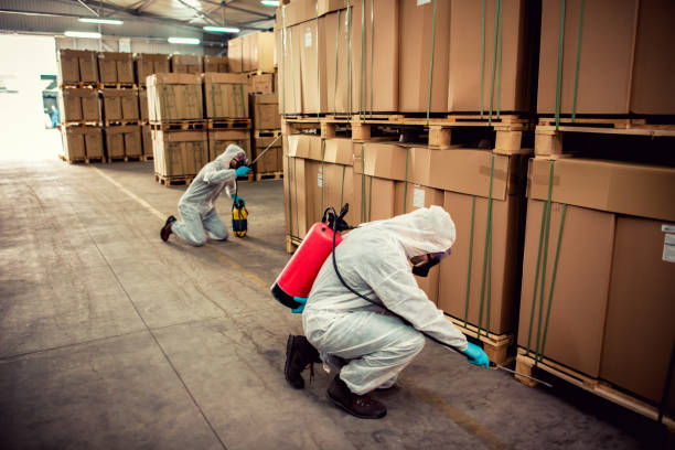 Pest Control Cost in Gordon Heights, NY