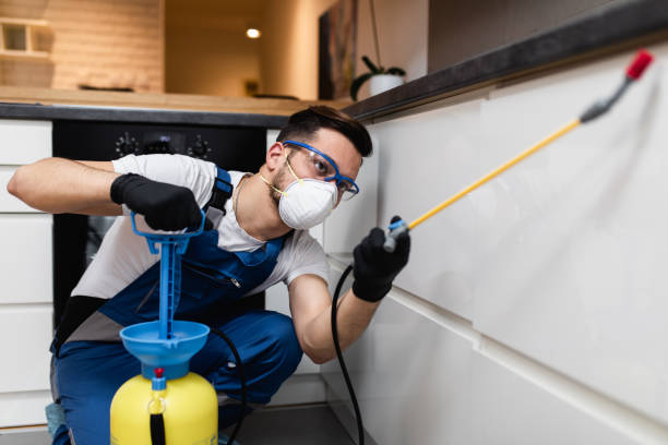 Flea Control Services in Gordon Heights, NY