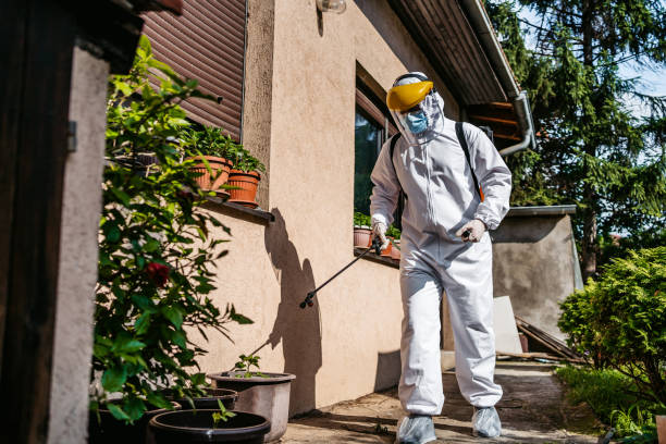 Best Flea Control Services  in Gordon Heights, NY