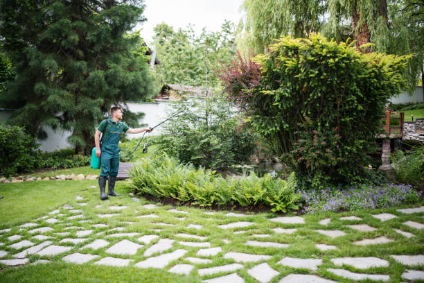 Best Emergency Pest Control  in Gordon Heights, NY