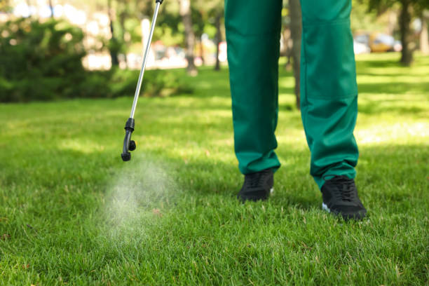 Best Wasp Removal Services  in Gordon Heights, NY