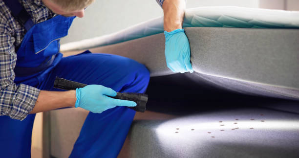 Best Termite Control Services  in Gordon Heights, NY