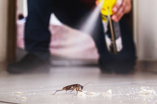 Best Residential Pest Control  in Gordon Heights, NY