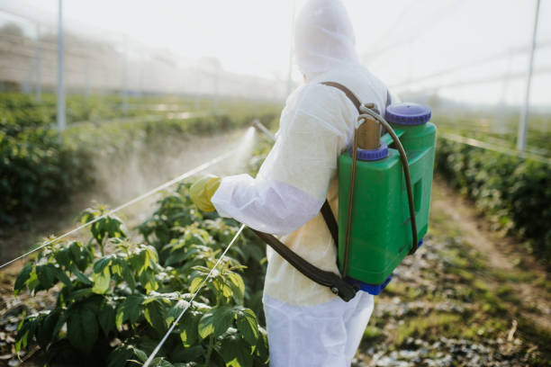 Best Best Pest Control Companies  in Gordon Heights, NY